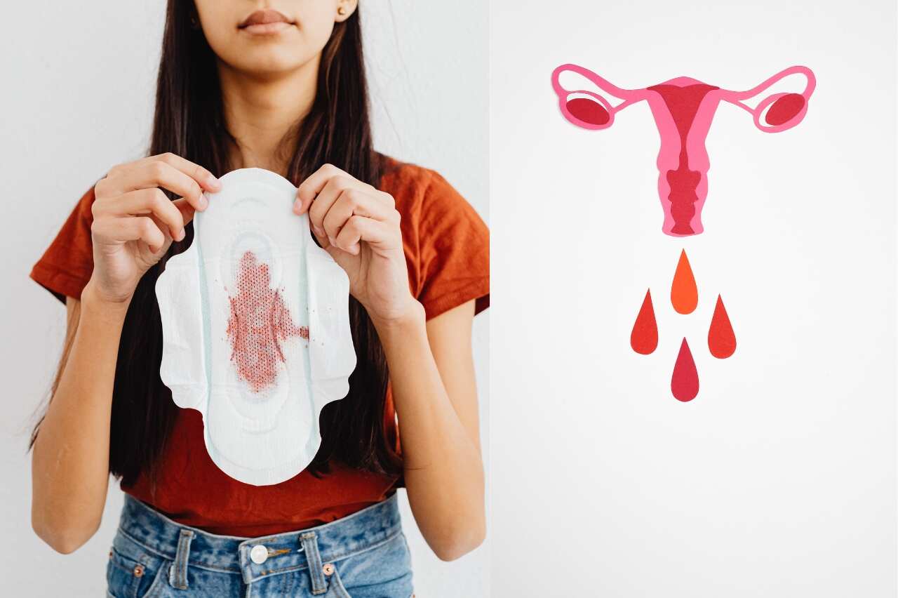 Brief Overview About Menstruation