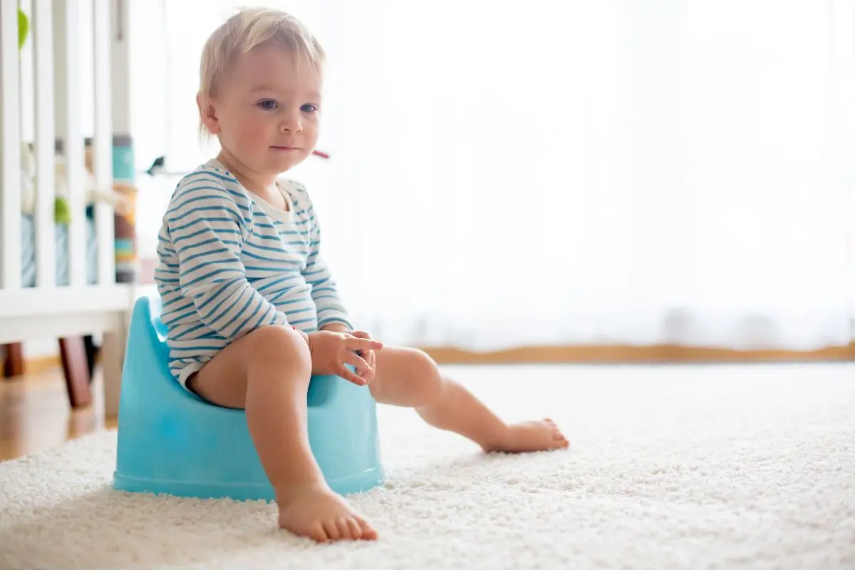 Potty Training Tips and Tricks